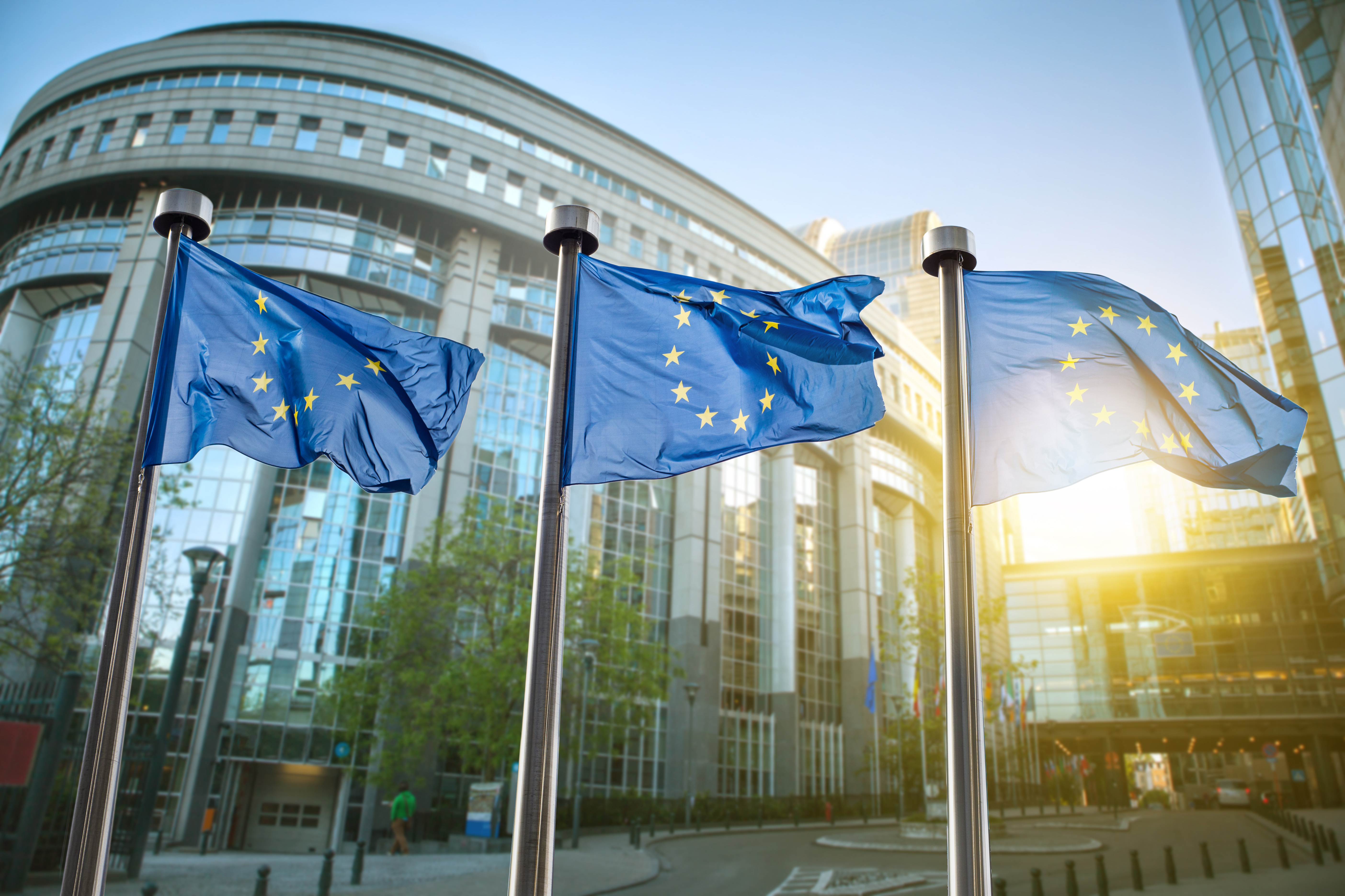 Флаги символизирующие гражданство Евросоюза на фоне европарламента