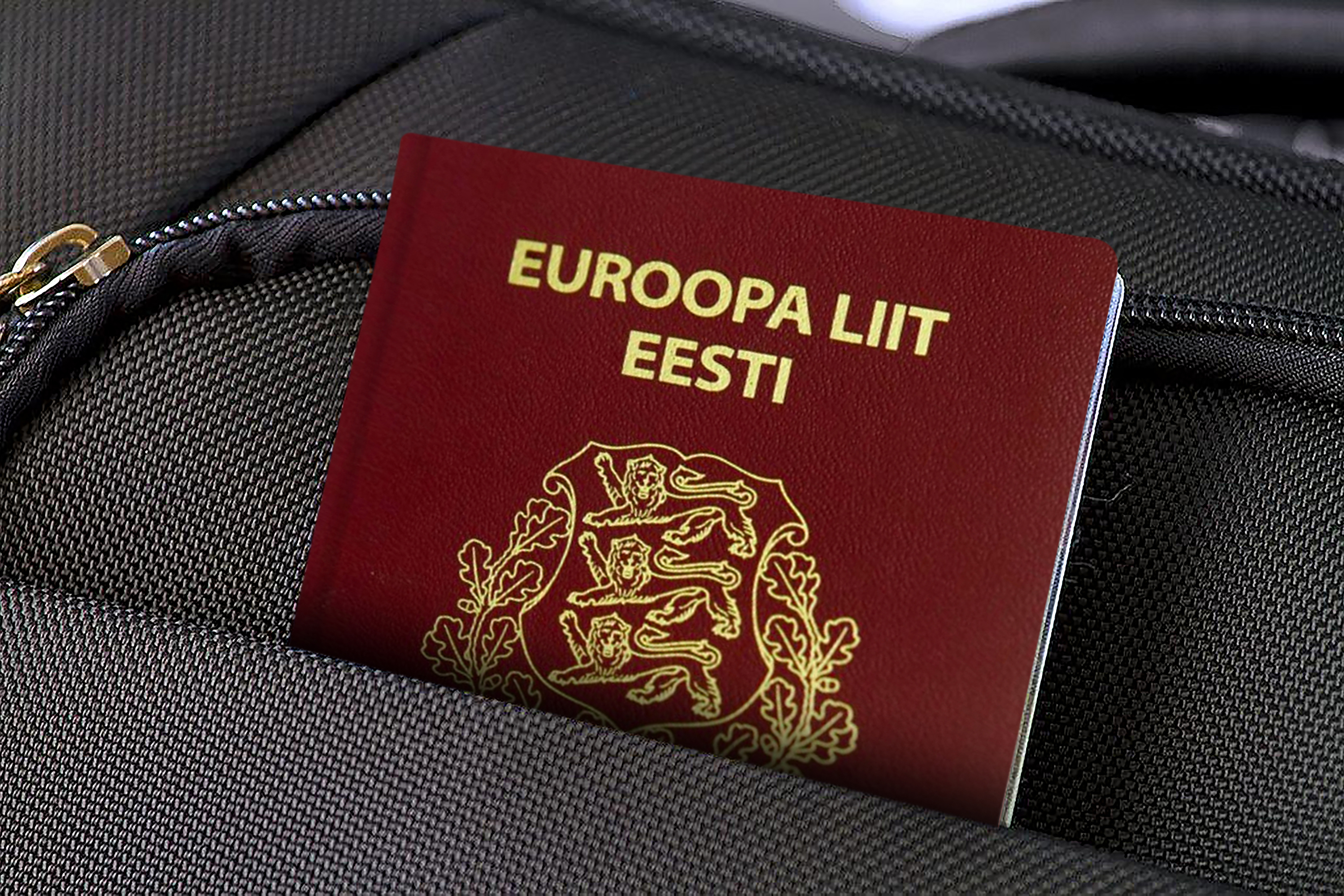 Оформление паспорта Эстонии