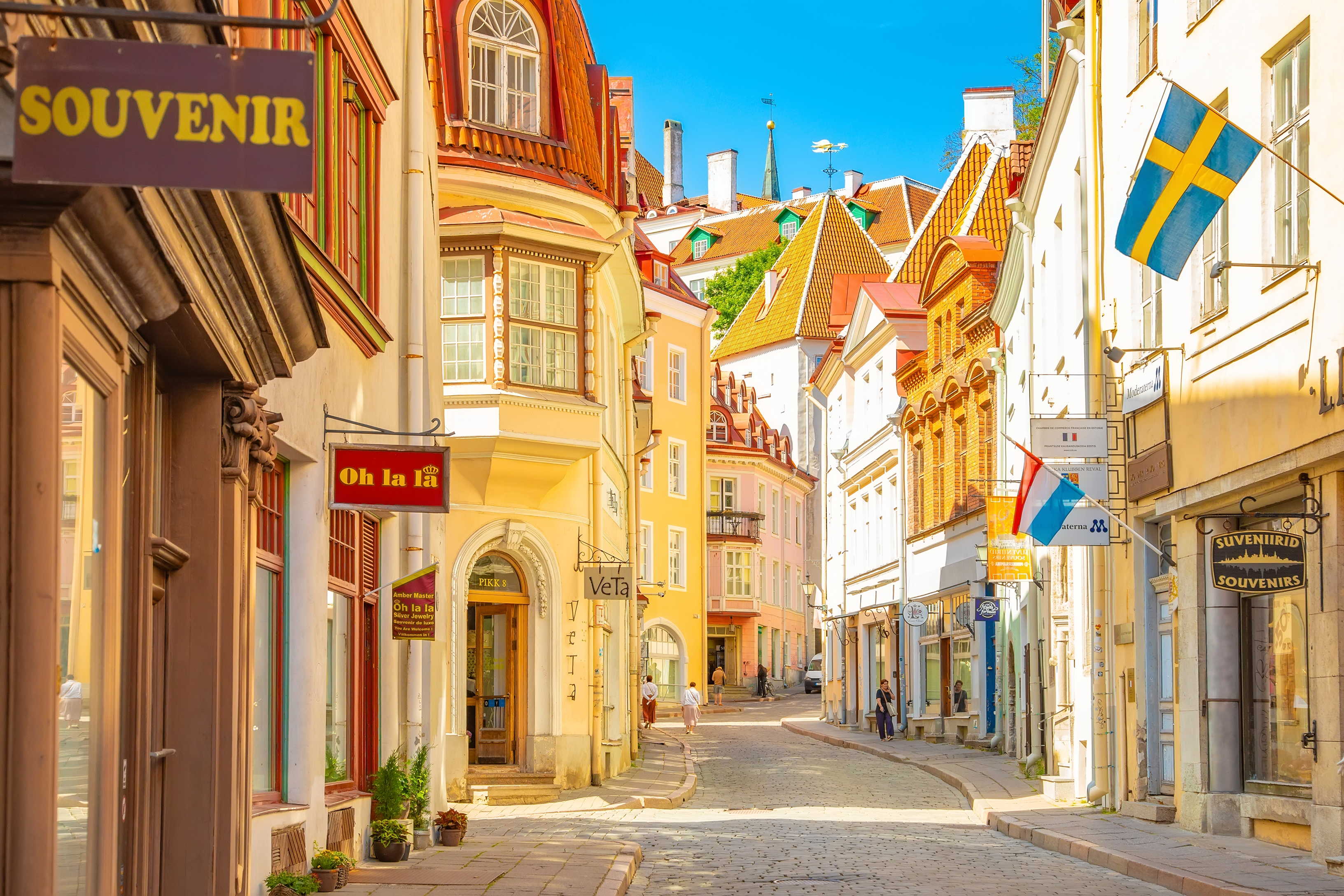 Эстония, где возможно получение эстонского гражданства для иностранцев