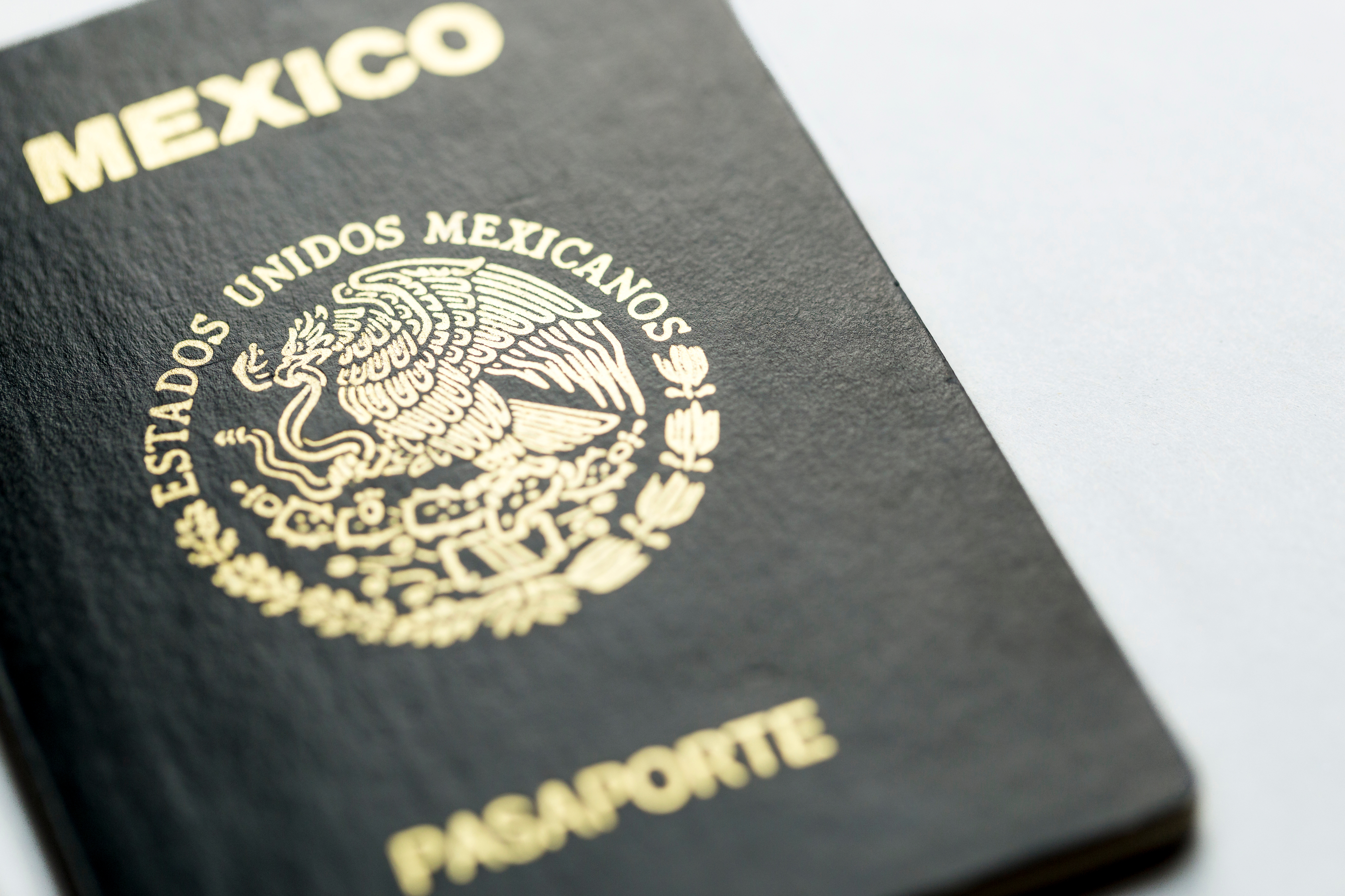 Паспорт Мексики