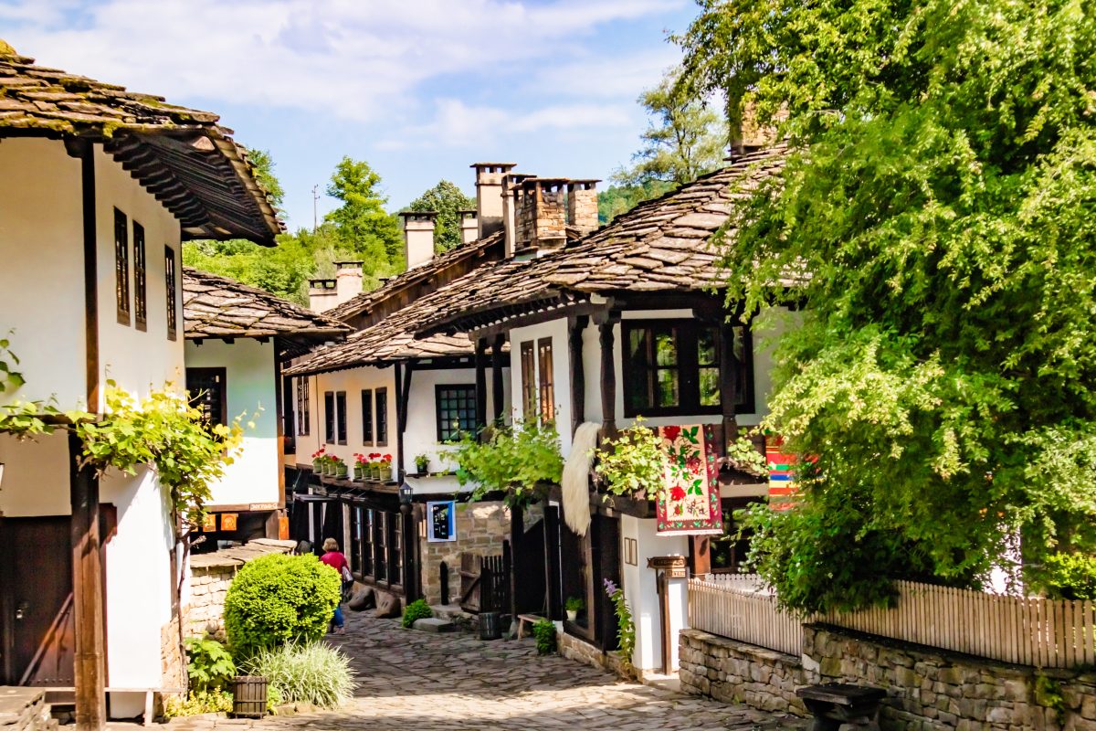 Гражданство Болгарии: как получить болгарский паспорт по происхождению ...