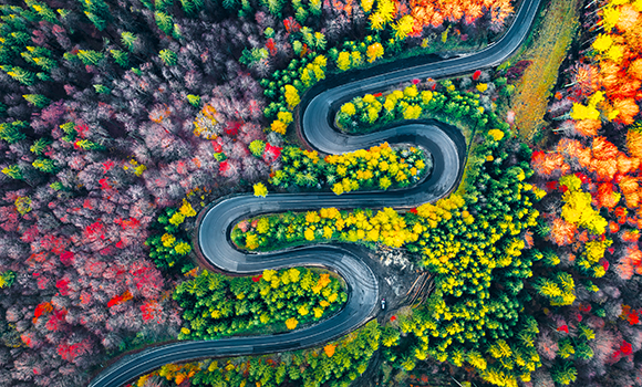 Извилистая дорога в лесу Румынии, в этой стране можно оформить второе румынское гражданство по корням подготовив документы на восстановление