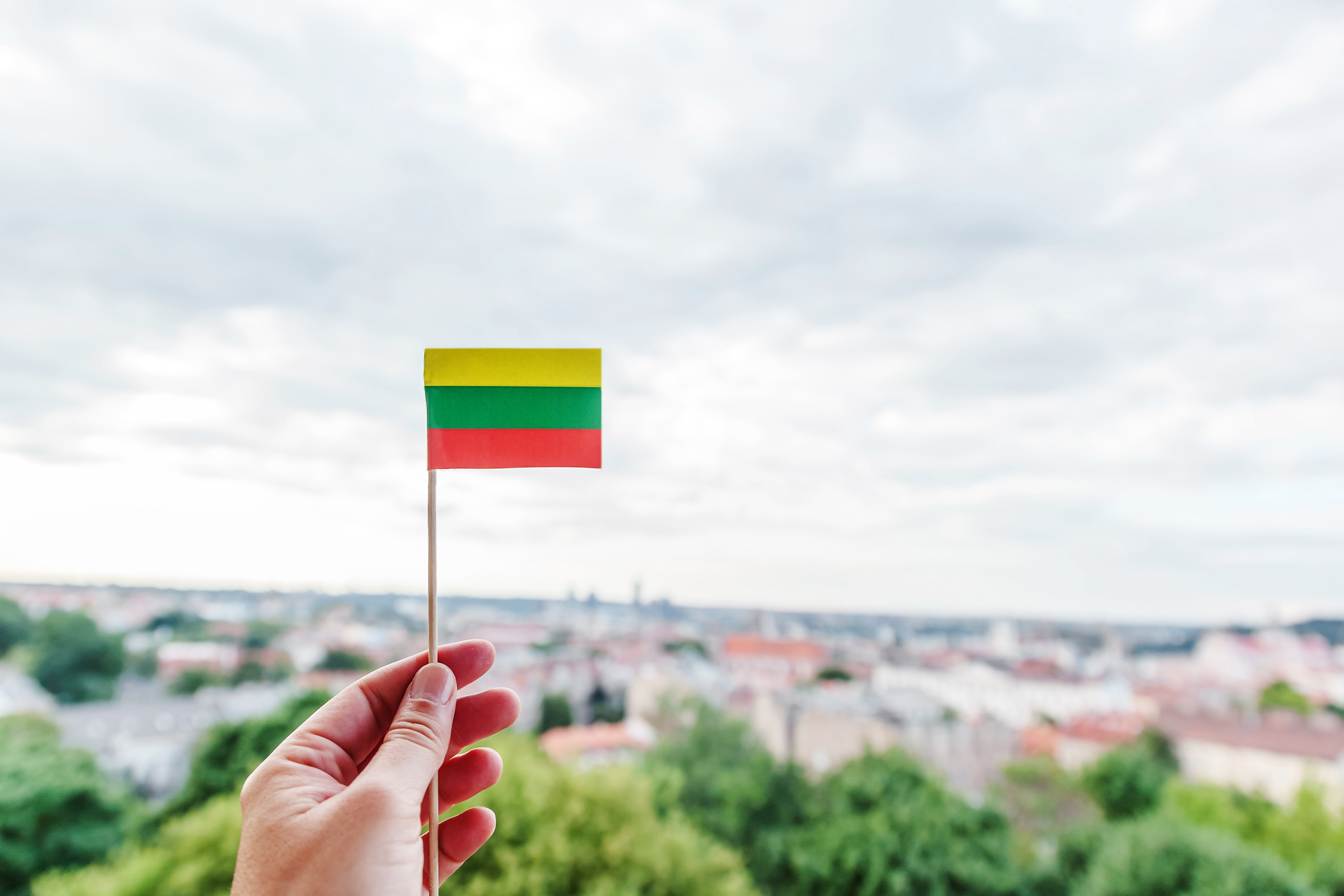 Как получить ВНЖ в Литве