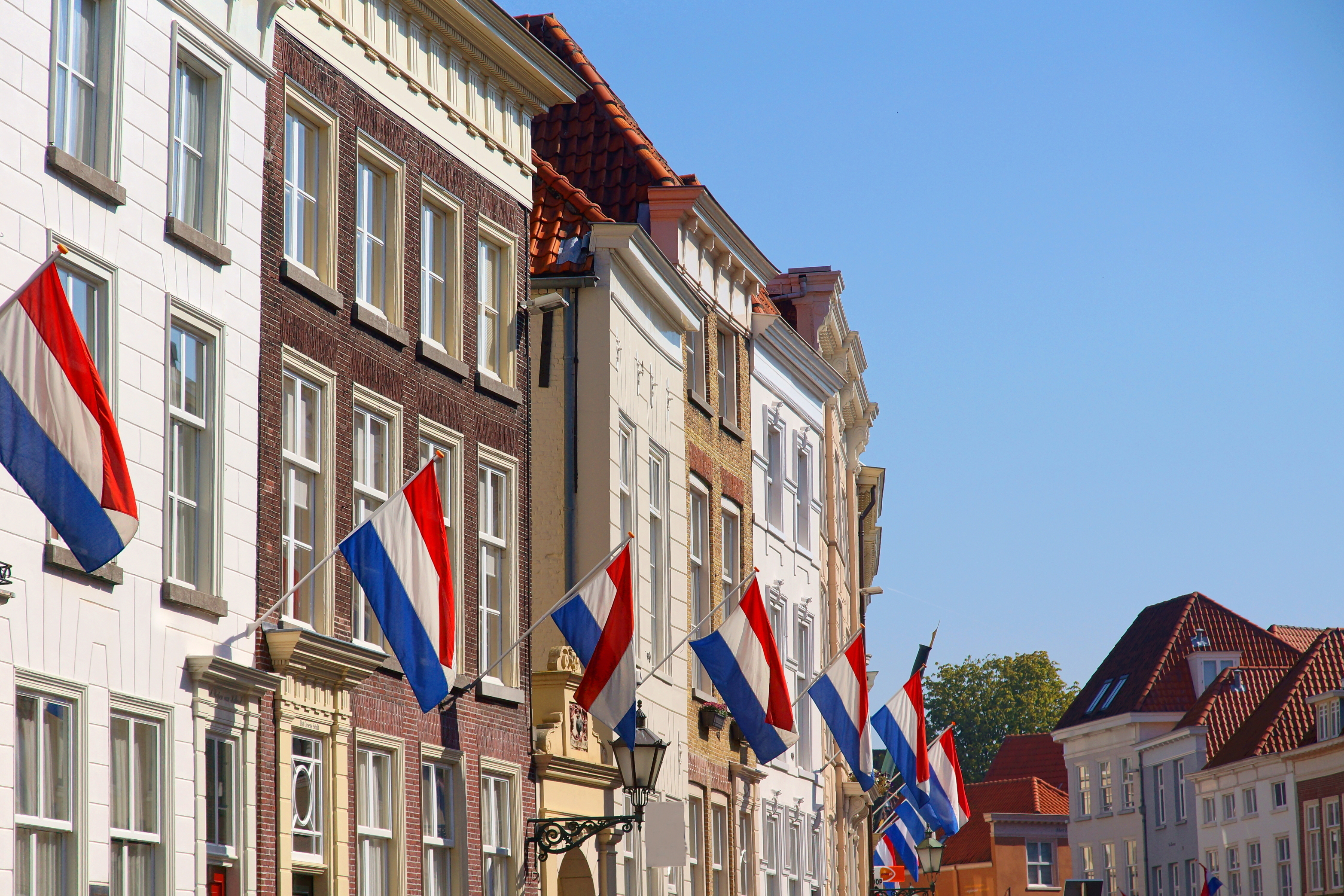 Получение гражданства Нидерландов